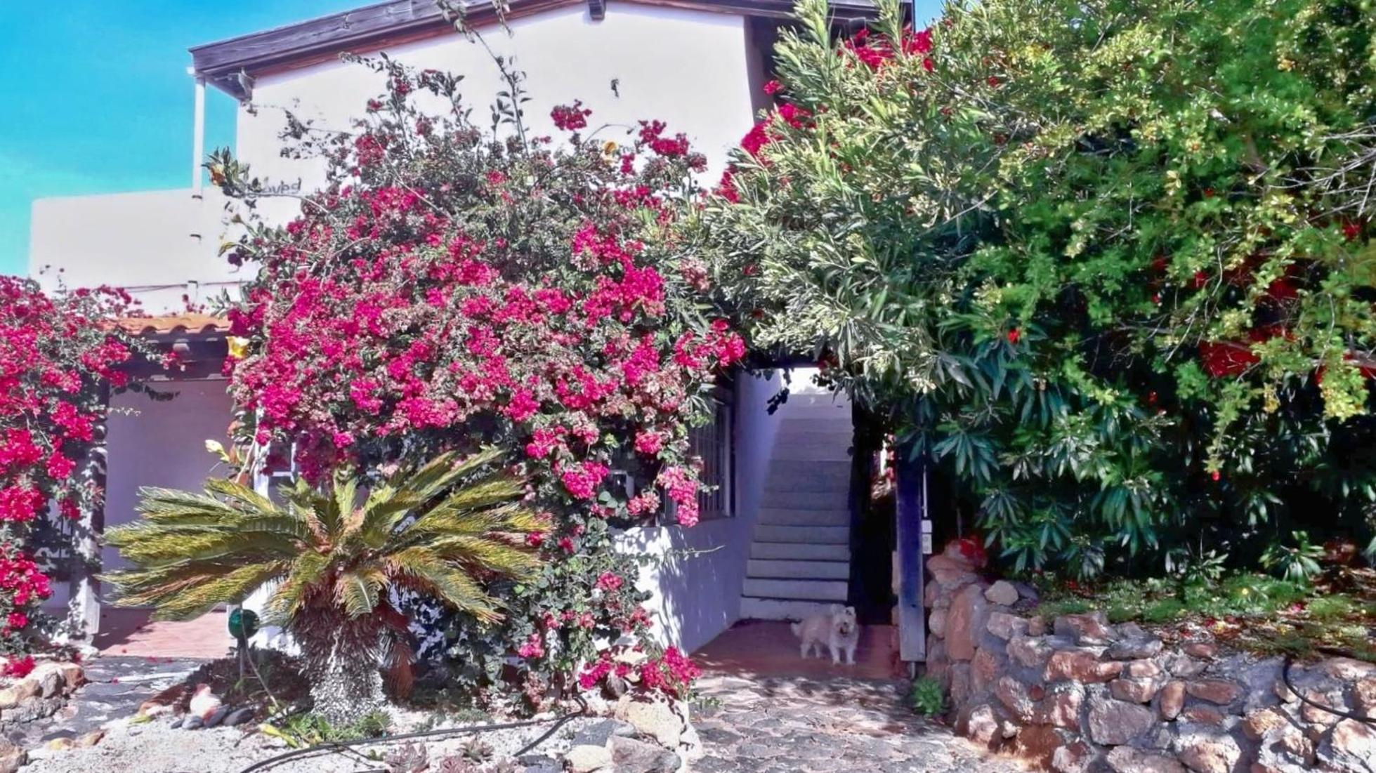 Villa -Casa Azul-Arico Viejo La Sabinita - Baden, Wandern, Klettern, Individualurlaub Jenseits Des Massentourismus, Exterior foto