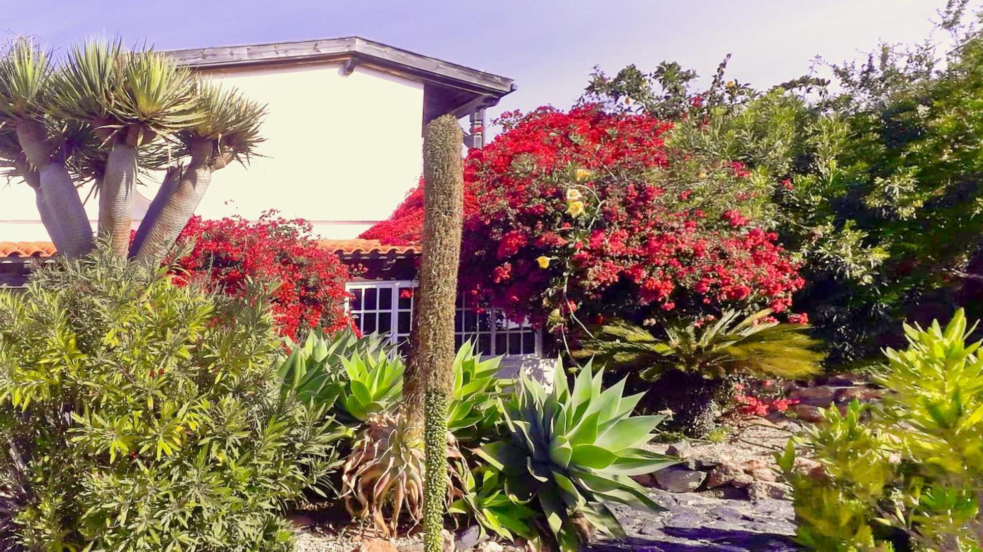 Villa -Casa Azul-Arico Viejo La Sabinita - Baden, Wandern, Klettern, Individualurlaub Jenseits Des Massentourismus, Exterior foto