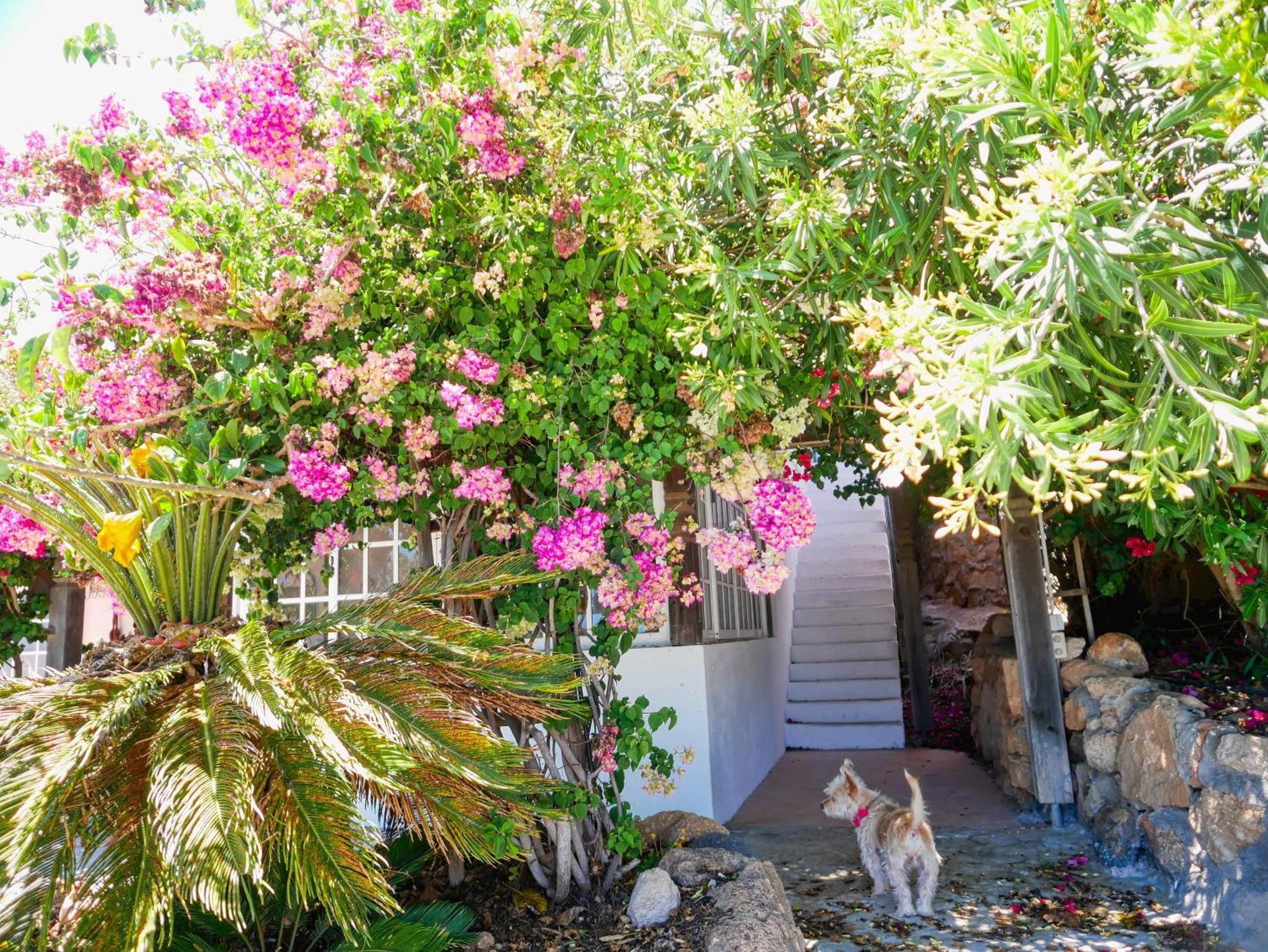 Villa -Casa Azul-Arico Viejo La Sabinita - Baden, Wandern, Klettern, Individualurlaub Jenseits Des Massentourismus, Exterior foto