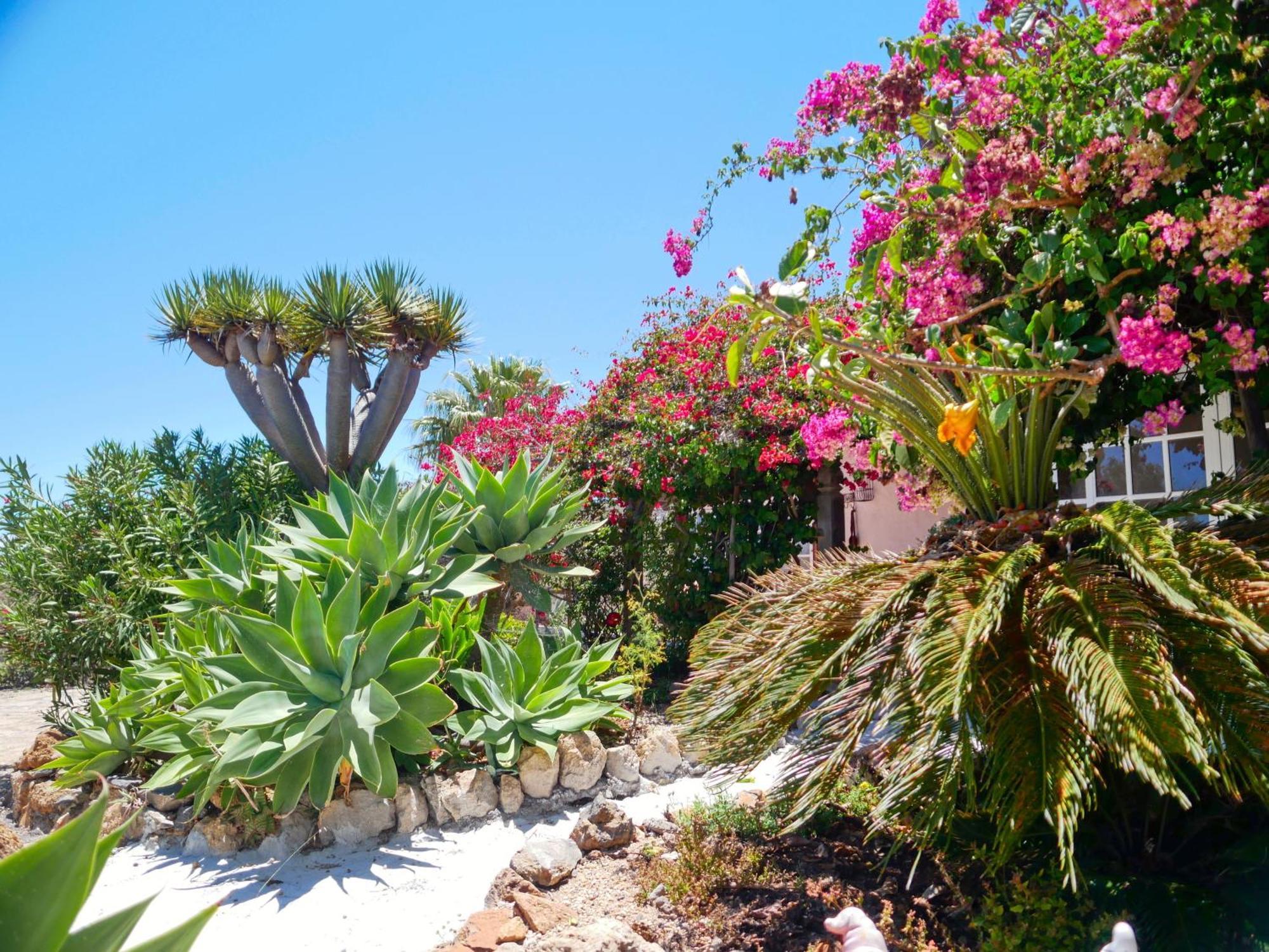 Villa -Casa Azul-Arico Viejo La Sabinita - Baden, Wandern, Klettern, Individualurlaub Jenseits Des Massentourismus, Exterior foto